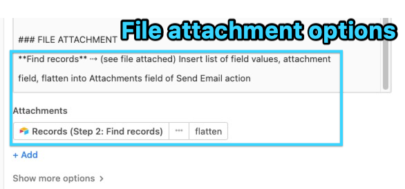 4412903468183fileattachmentoptions.png